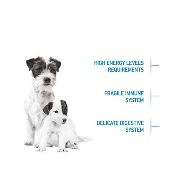 غذای خشک پاپی مینی استارتر مادر اند بیبی
