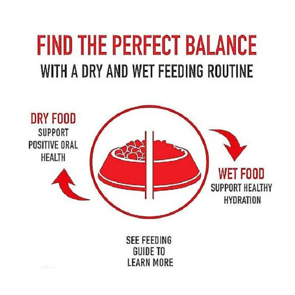 غذای خشک پاپی یورکشایر تریر رویال کنین وزن 1.5 کیلوگرم