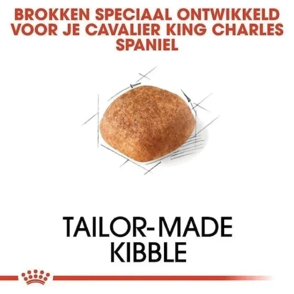 غذای خشک سگ رویال کنین مدل Royal Canin Cavalier King Charles Adult وزن 1.5 کیلوگرم