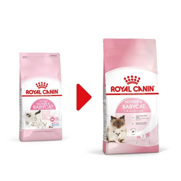 غذای خشک مادر اند بیبی کیتن رویال کنین وزن 2 کیلوگرم