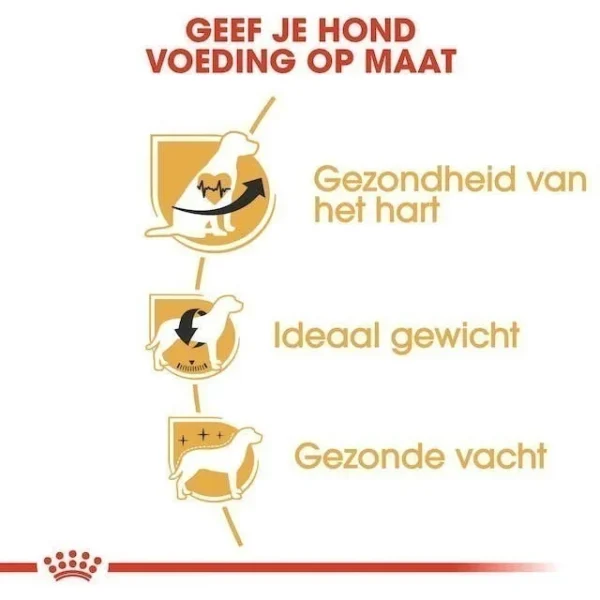 غذای خشک سگ رویال کنین مدل Royal Canin Cavalier King Charles Adult وزن 1.5 کیلوگرم