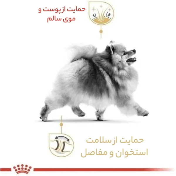 غذای خشک سگ رویال کنین مدل pomeranian وزن 1.5 کیلوگرم