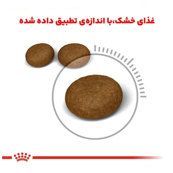 غذای خشک گربه هیر اند اسکین رویال کنین وزن 2 کیلوگرم