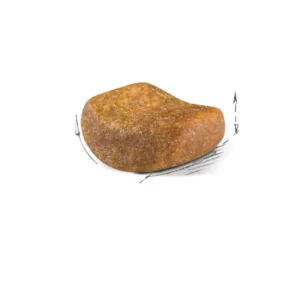 غذای خشک گربه بریتیش ادالت رویال کنین وزن 2 کیلوگرم