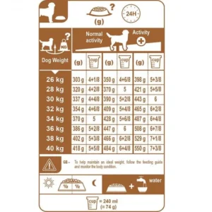 غذای خشک سگ رویال کنین مدل Labrador Retriever Adult وزن 12 کیلوگرم