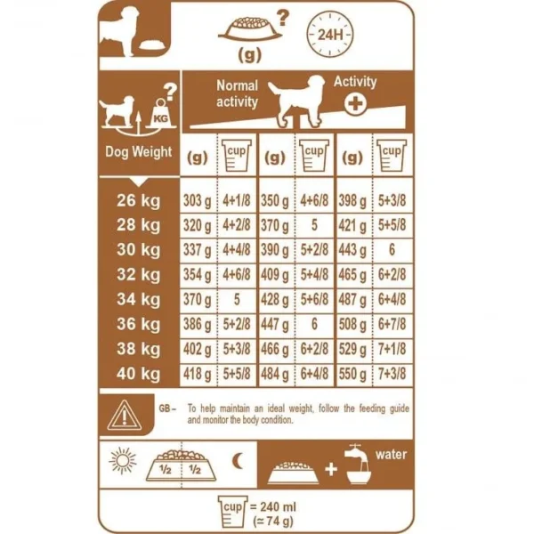 غذای خشک سگ رویال کنین مدل Labrador Retriever Adult وزن 12 کیلوگرم