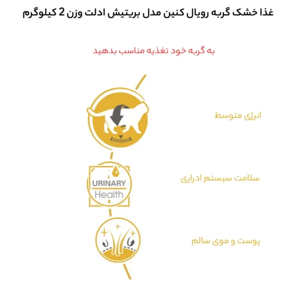 غذای خشک گربه بریتیش ادالت رویال کنین وزن 2 کیلوگرم