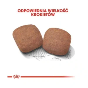 غذای خشک پاپی جاینت جونیور رویال کنین وزن 15 کیلوگرم