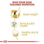 غذای خشک سگ رویال کنین مدل Labrador Retriever Adult وزن 12 کیلوگرم