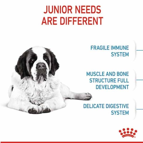 غذای خشک پاپی جاینت جونیور رویال کنین وزن 15 کیلوگرم