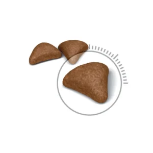 غذای خشک گربه هیربال رویال کنین وزن 2 کیلوگرم