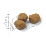 غذای خشک گربه ایندور +7 رویال کنین وزن 1.5 کیلوگرم