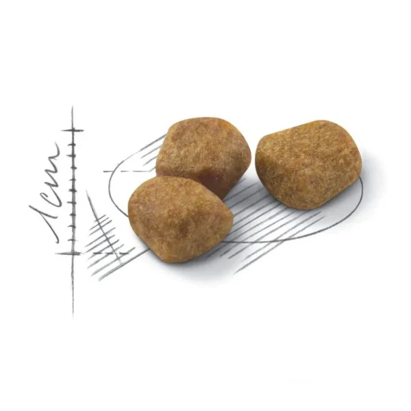 غذای خشک گربه ایندور +7 رویال کنین وزن 1.5 کیلوگرم