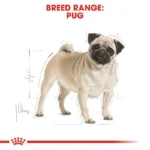 غذای خشک سگ رویال کنین مدل Pug Adult وزن 1.5 کیلوگرم