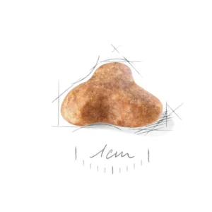 غذای خشک سگ رویال کنین مدل Pug Adult وزن 1.5 کیلوگرم