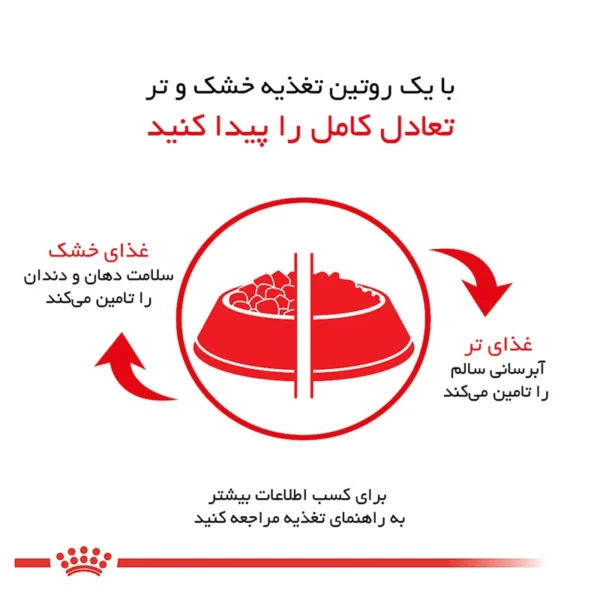 غذای خشک سگ رویال کنین مدل Pug Adult وزن 1.5 کیلوگرم