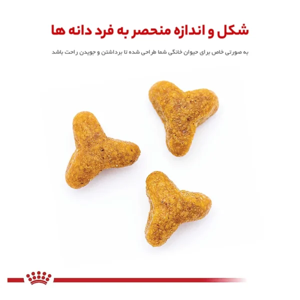 غذای خشک سگ رویال کنین مدل Pug Adult وزن 1.5 کیلوگرم