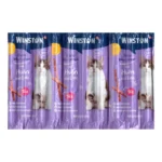 تشویقی مدادی گربه وینستون با طعم مرغ بسنه 5 عددی