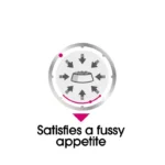 پوچ سگ اگزیجنت رویال کنین  وزن 85 گرم