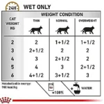 پوچ گربه یورینری اس او رویال کنین ورن 85 گرم