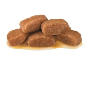 پوچ گربه گاسترو اینتستینال  رویال کنین وزن 85 گرم