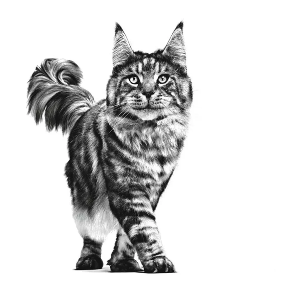 پوچ گربه گاسترو اینتستینال رویال کنین وزن 85 گرم