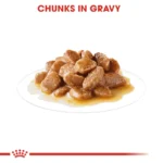 پوچ سگ مینی ادالت رویال کنین وزن 85 گرم