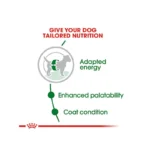 پوچ سگ مینی ادالت رویال کنین وزن 85 گرم