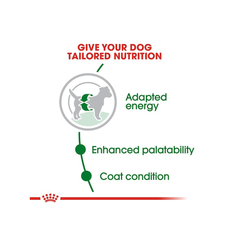 پوچ سگ مینی ادالت رویال کنین وزن 85 گرم