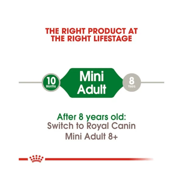 پوچ سگ مینی ادالت رویال کنین وزن 85 گرم