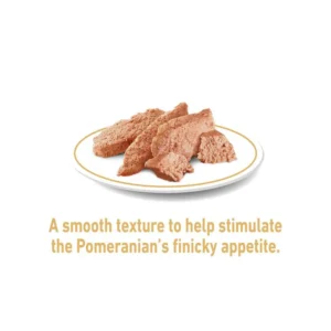 پوچ سگ پامرانین رویال کنین وزن 85 گرم