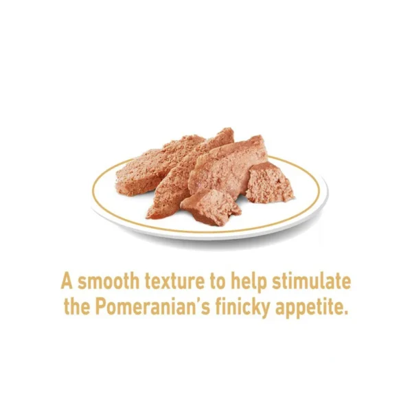 پوچ سگ پامرانین رویال کنین وزن 85 گرم