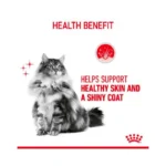 پوچ گربه هیر اند اسکین گروی رویال کنین وزن 85 گرم