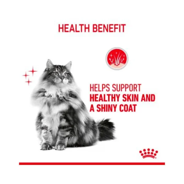 پوچ گربه هیر اند اسکین گروی رویال کنین وزن 85 گرم