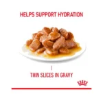 پوچ گربه هیر اند اسکین گروی رویال کنین وزن 85 گرم