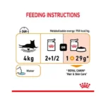 پوچ گربه هیر اند اسکین گروی رویال کنین وزن 85 گرم