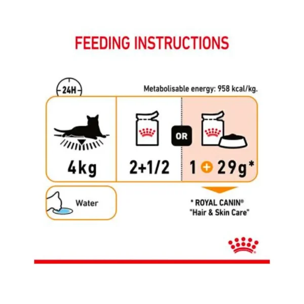 پوچ گربه هیر اند اسکین گروی رویال کنین وزن 85 گرم