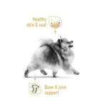 پوچ سگ پامرانین رویال کنین وزن 85 گرم