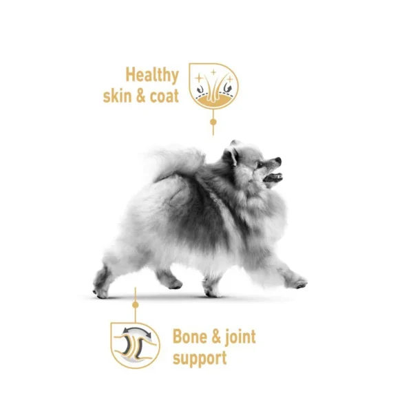 پوچ سگ پامرانین رویال کنین وزن 85 گرم