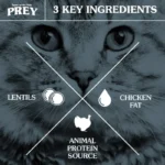 غذای خشک گربه تیست آف د وایلد گوشت گاو  وزن 12.2 کیلوگرم