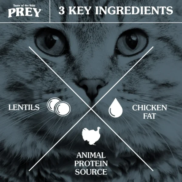 غذای خشک گربه تیست آف د وایلد گوشت گاو  وزن 12.2 کیلوگرم