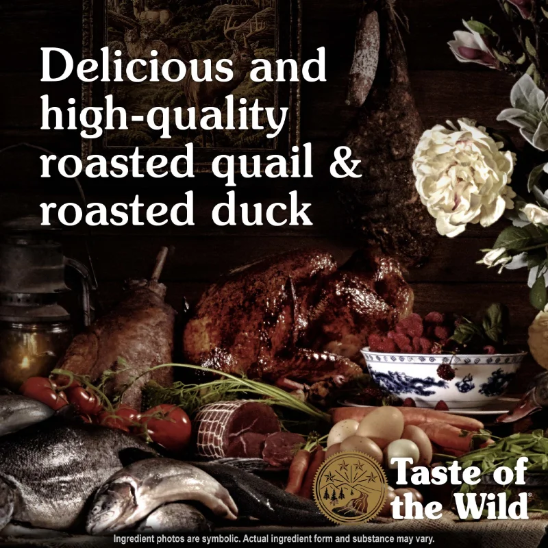 غذای خشک گربه تیست اف د وایلد بلدرچین و اردک کبابی وزن 2 کیلو